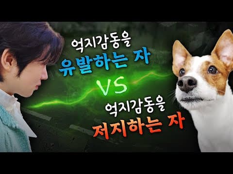 김희철 오드엔터테인먼트와 계약?! thumbnail