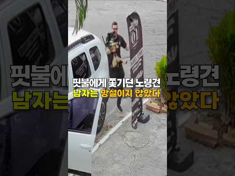 핏불에게 쫓기던 노령견, 남자는 망설이지 않았다 😭😭 thumbnail