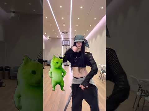 Grrr🐱 thumbnail