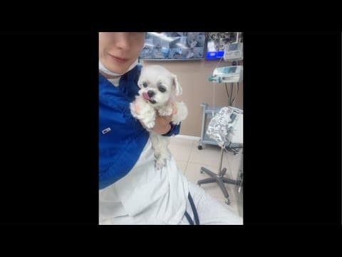 Our simkoong who is the most loved in the world thumbnail