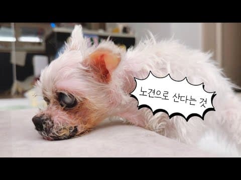 빛과 소리가 사라지는 것이 무섭진 않을까 (16) thumbnail
