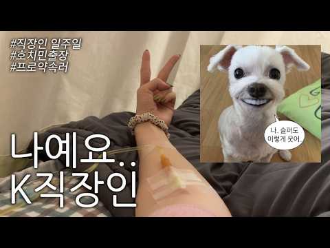 브이로그 | 갓생러의 처참한 결말 thumbnail