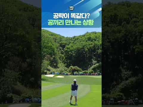 톱클래스 선수들의 공략은 똑같다? 골프에서도 나오는 키스 ㅋㅋ thumbnail