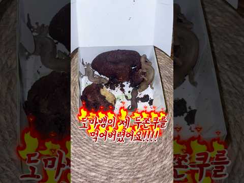 내 두쫀쿠 상자에서 도마뱀 나왔어요!!!🦎 thumbnail