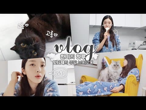 *브이로그* 잇티제 ISTJ의 소소한 주말 브이로그🥰 thumbnail