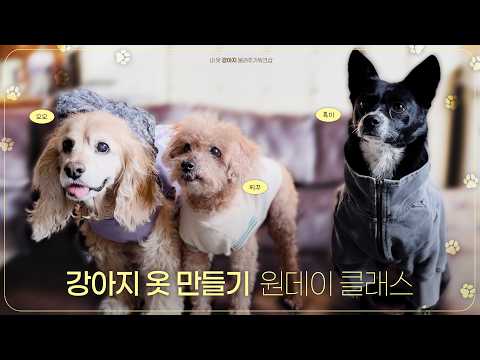 🐶안 입는 옷을 사랑하는 강아지에게 물려주는 방법! 강아지 옷 만들기 원데이 클래스👚｜ 세미의 절기, 3월의 이야기 thumbnail