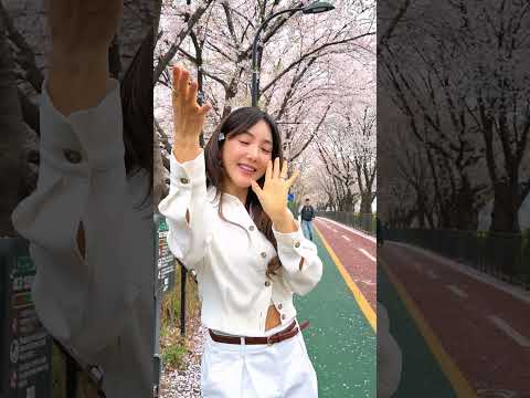계속계속 주고 싶은 내 맘 알아줘🌸🌸💕💕🫶🏼🫶🏼 thumbnail