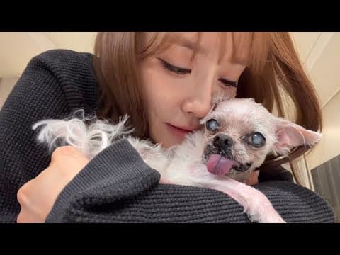 ㅇㅏㄴㅏ 불사조! 좀비가 되어! 🧟‍♀️ (1) thumbnail