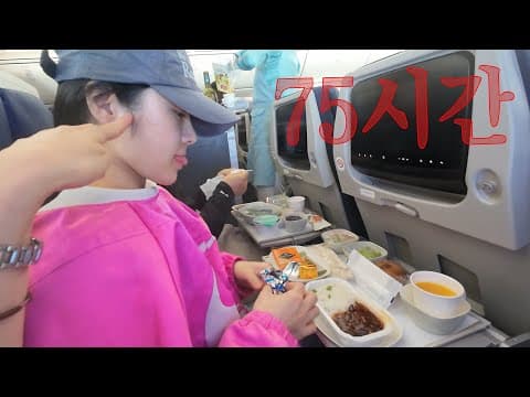 이동시간만 75시간! 강아지 두 마리와 네덜란드 통해서 영국 가기! #1 thumbnail
