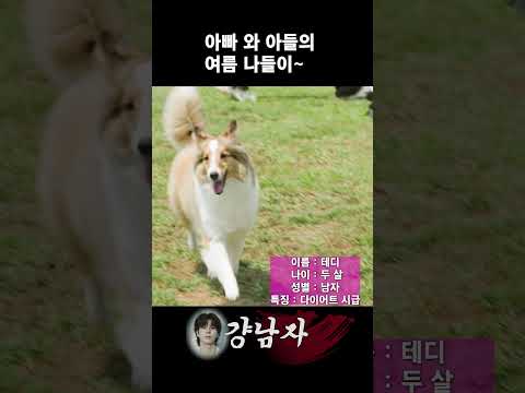 아빠와 아들의 여름 나들이 #shorts thumbnail