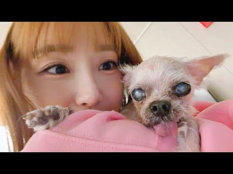대역죄인은 고개를 들라🚨 (8) thumbnail