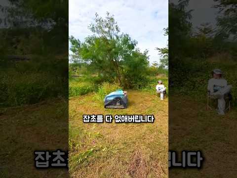 의자에 앉아서 제초하는 방법 thumbnail
