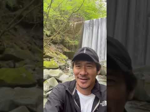 【蛭ヶ岳 登山】むっちゃエエ景色！ #shorts thumbnail