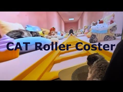 고양이 롤러코스터 with Bobbie thumbnail