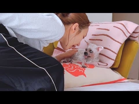 의지할 곳은 너 뿐이라 (6) thumbnail