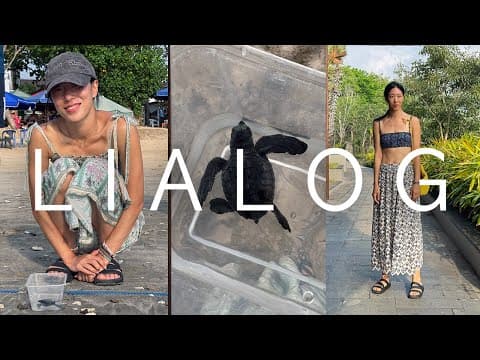 Releasing Baby Sea Turtles in Bali : LIALOG thumbnail