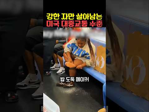 강한 자만 살아남는 미국 대중교통 수준 thumbnail
