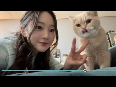 요리를 위한 공간준비, 고양이 소개 thumbnail
