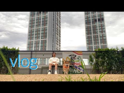 반려견을 위한 여름 펫캉스 다녀왔어요! 🐶 동물병원도 있어서 안심 thumbnail