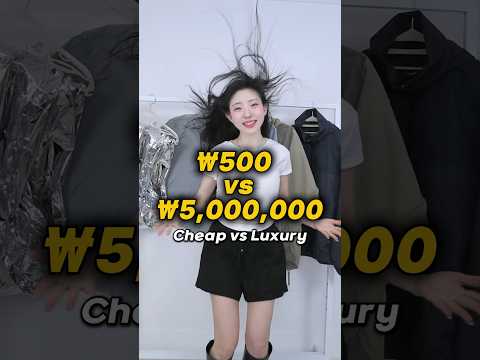 500원 vs 500만 원 바람막이 | Cheap vs Luxury thumbnail