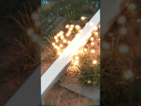 2024.02.17 6PM ‘101(Home Home)’ thumbnail