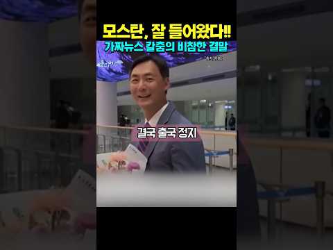 가짜뉴스 유포자의 눈물겨운 최후ㅋㅋㅋ #모스탄 #출국정지 #가짜뉴스 #이재명 #참교육 thumbnail
