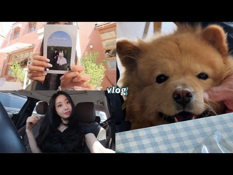나 빼고 다 결혼하네 잘가.. 5월 Vlog🌹 | 기초추천, 채경이랑 드라이브, 언니결혼식, 끼리 지혜사랑과 청첩장모임 thumbnail