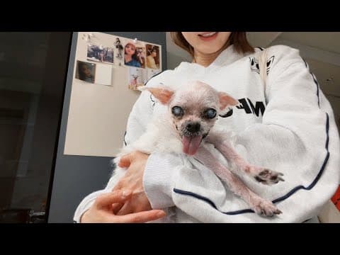 오늘도 무사히🧟‍♀️(3) thumbnail