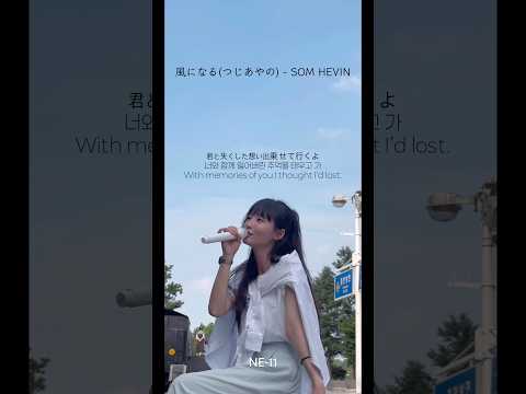 風になる - SOMHEVIN COVER thumbnail