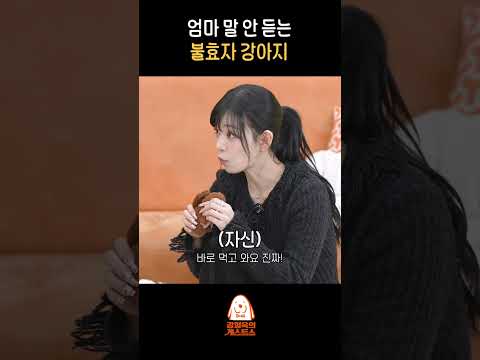 기분 내킬 때만 말 들음 thumbnail