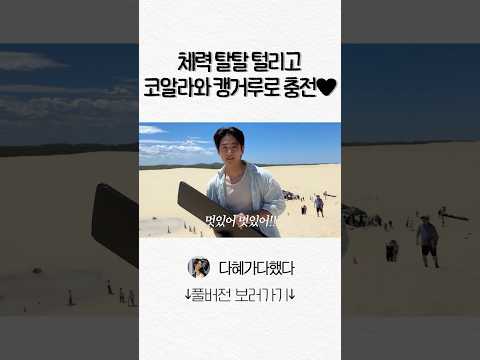 코알라 캥거루 🐨🦘 thumbnail