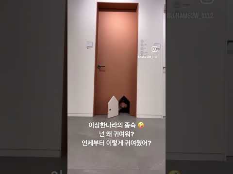 본격적으로 인테리어를 알아보러 다니는 우리부부😍오늘도 귀여운 남편😘주말데이뚜 thumbnail
