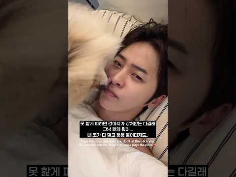 코가 커지는 이유 thumbnail