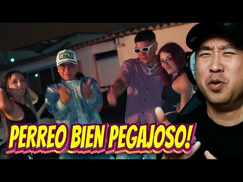 ESTO ES UN PERREO BIEN PEGAJOSO! 🙌🔥 Brow 4666, Jarek DOM thumbnail