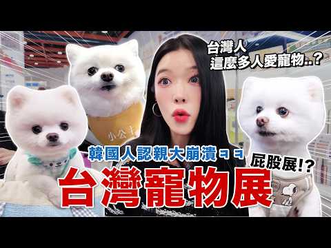 韓國人第一次逛台灣寵物展！？現場人多到嚇到…台灣人真的太愛寵物了🐶 thumbnail