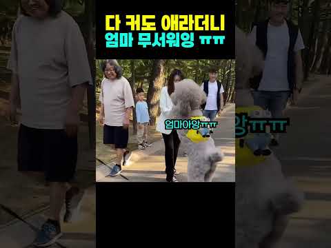 엄마.. 엄마 나 안아줭 ㅠㅠ😍 다 커도 애기네 ㅋㅋ thumbnail