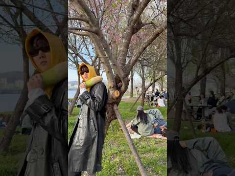 나랑 봄나들이 갈래? thumbnail