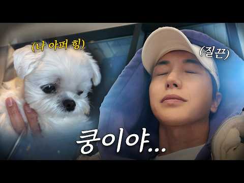 자식 아플 때 심정이 이런 걸까.. | 짤막한 휴가+심쿵이 수술 회복기 thumbnail