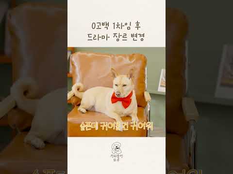 짝사랑이 가고 찾아온 𝓡𝓮𝓪𝓵 𝓛𝓸𝓿𝓮..ღ thumbnail