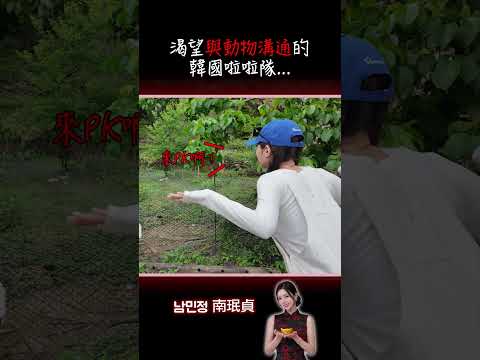渴望與動物溝通的韓國啦啦隊…？ #搞笑 #啦啦隊 #2s #熱門 #taiwan  #動物溝通 #森林 #mothersday thumbnail