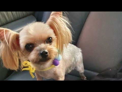 [소통방송] '이태원 추모' 분위기와 '서민경제 살리기'는 별개입니다!!! thumbnail
