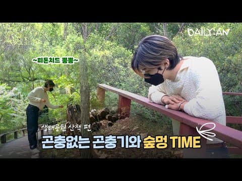 [DAILY:AN] 같이 산책해요! 🌲피톤치드🌳 가득한 숲속 힐링 브이로그 | 🌲Phytoncide🌳 Healing Vlog inside a lush forest thumbnail