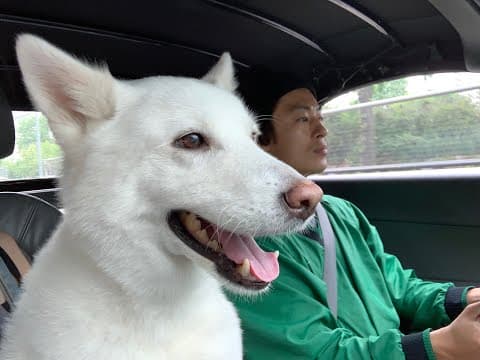 [VLOG] 구교환 대리운전 브이로그 thumbnail