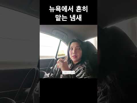 뉴욕에서 흔히 맡을 수 있는 냄새 (저는 괴로워요..) thumbnail
