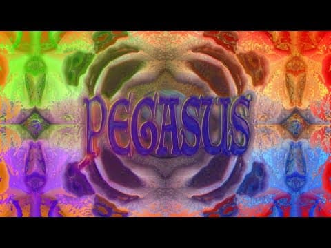 sokodomo(소코도모) - PEGASUS feat. Huckleberry P (prod.sesåme) Visualizer thumbnail