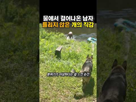 물에서 걸어나온 남자, 틀리지 않은 개의 직감 😭😭 thumbnail