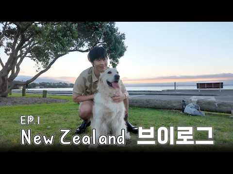 픽보이 뉴질랜드 브이로그 1 thumbnail