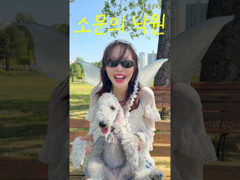 비키와 소문의 낙원 챌린지💚 thumbnail