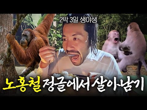 🦧멸종 위기 야생 오랑우탄 보러 정글에서 2박 3일 야외취침 thumbnail