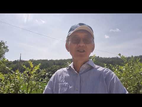 대리모계약의 효력 thumbnail